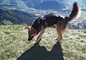 Salita da Rovetta a Cima Paré (1642 m.) il 21 ottobre 2010 - Piero ed Erica - FOTOGALLERY